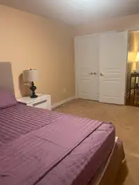 Beautiful Room in central area for rent