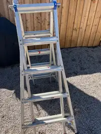 Articulating Ladder