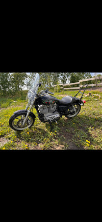 Harley Sportster 883 super low 