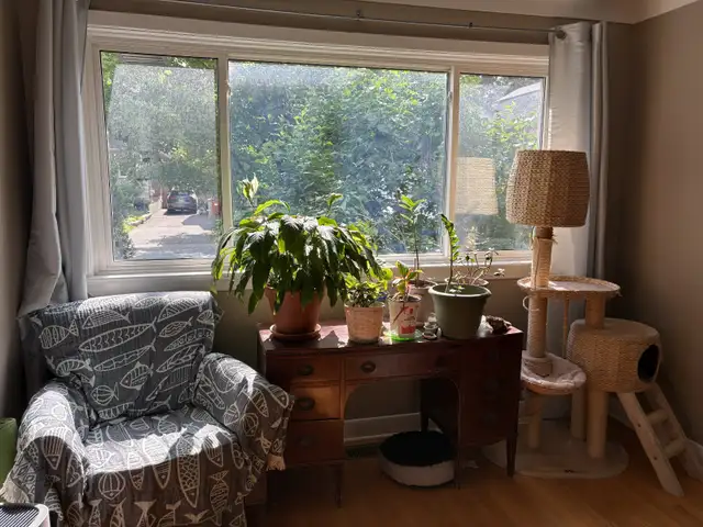 Room to rent House to share in the heart of Westboro