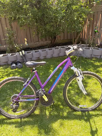 purple bike for sale, new brakes and bike seat, View more