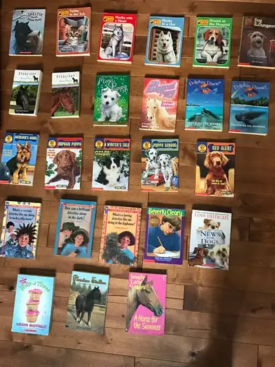 Children's Chapter Books, View more