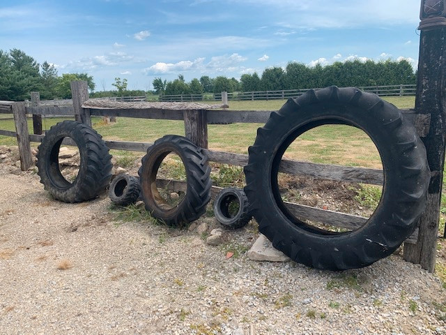 TRACTOR TIRE for training. in Exercise Equipment in Windsor Region