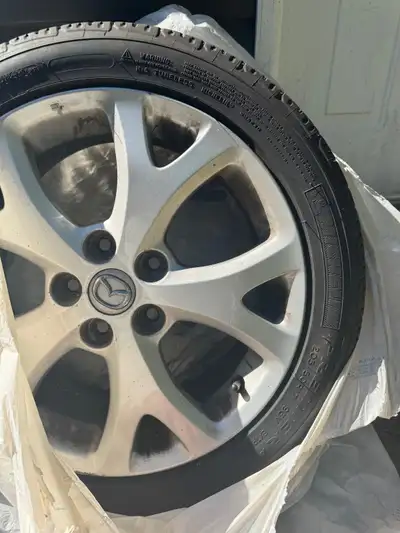 Used but in good condition, comes on rims.