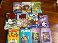Variety of novels for kids