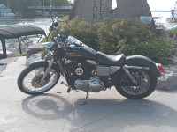 94 Harley Davidson sportster XL 1200