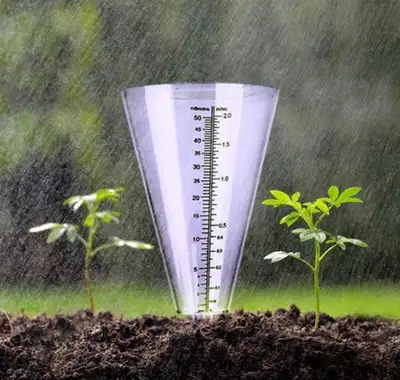 Measuring Rain Water Gauge Cones New, View more