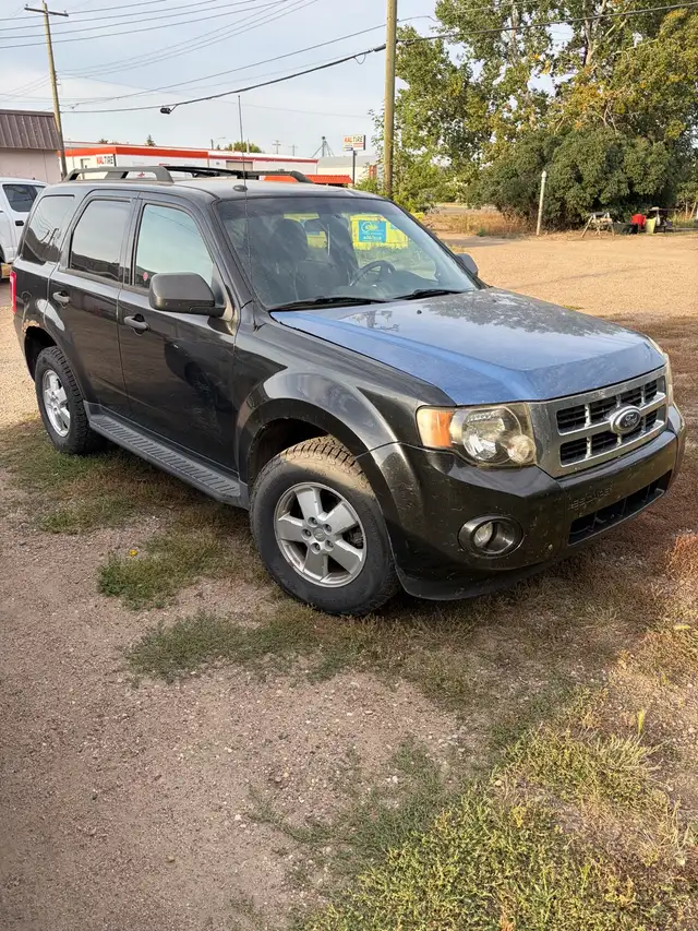 2011 Ford Escape 4 Cyl555661594796369921