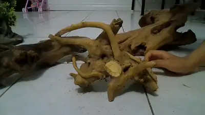 driftwood for sale, View more