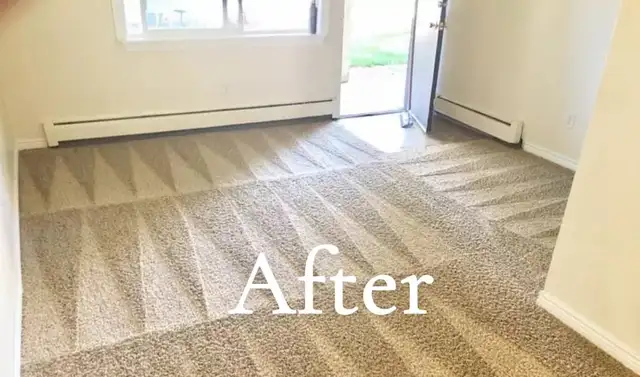 cleaning services