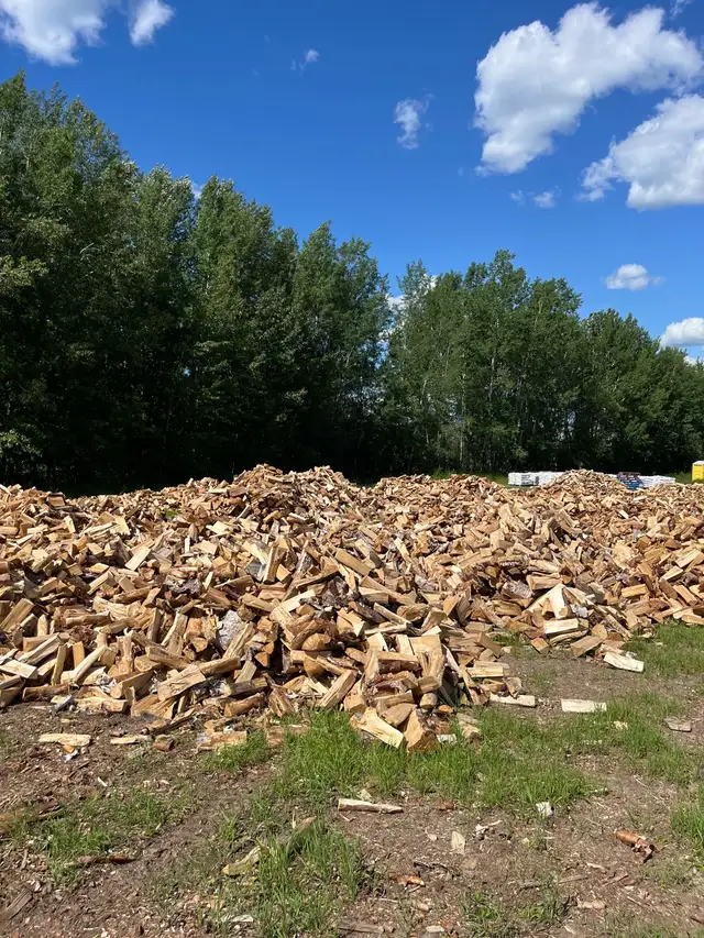 Firewood lac la Biche  in Other in Edmonton - Image 3