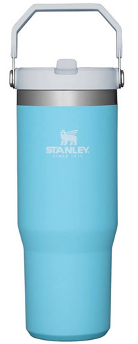 STANLEY IceFlow Stainless Steel Tumbler with Straw, Vacuum Insul