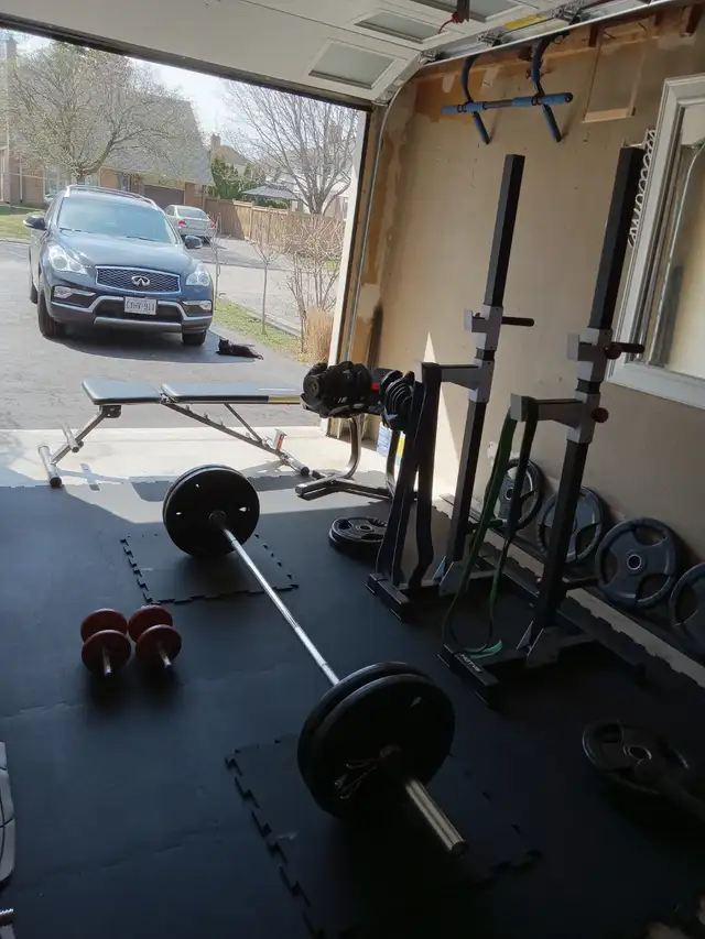 MENTZER MINIMALIST MUSCLE COACHING63860085370497121
