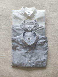 Uniqlo Oxford button-down dress shirts (3x)