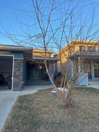 Cozy basement suite offering one spacious bedroom and one full bathroom. This private and comfortabl...