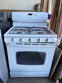 Gas stove with convection