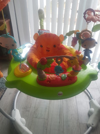 Baby Fisher Price Tiger Time Jumperoo Activity Center