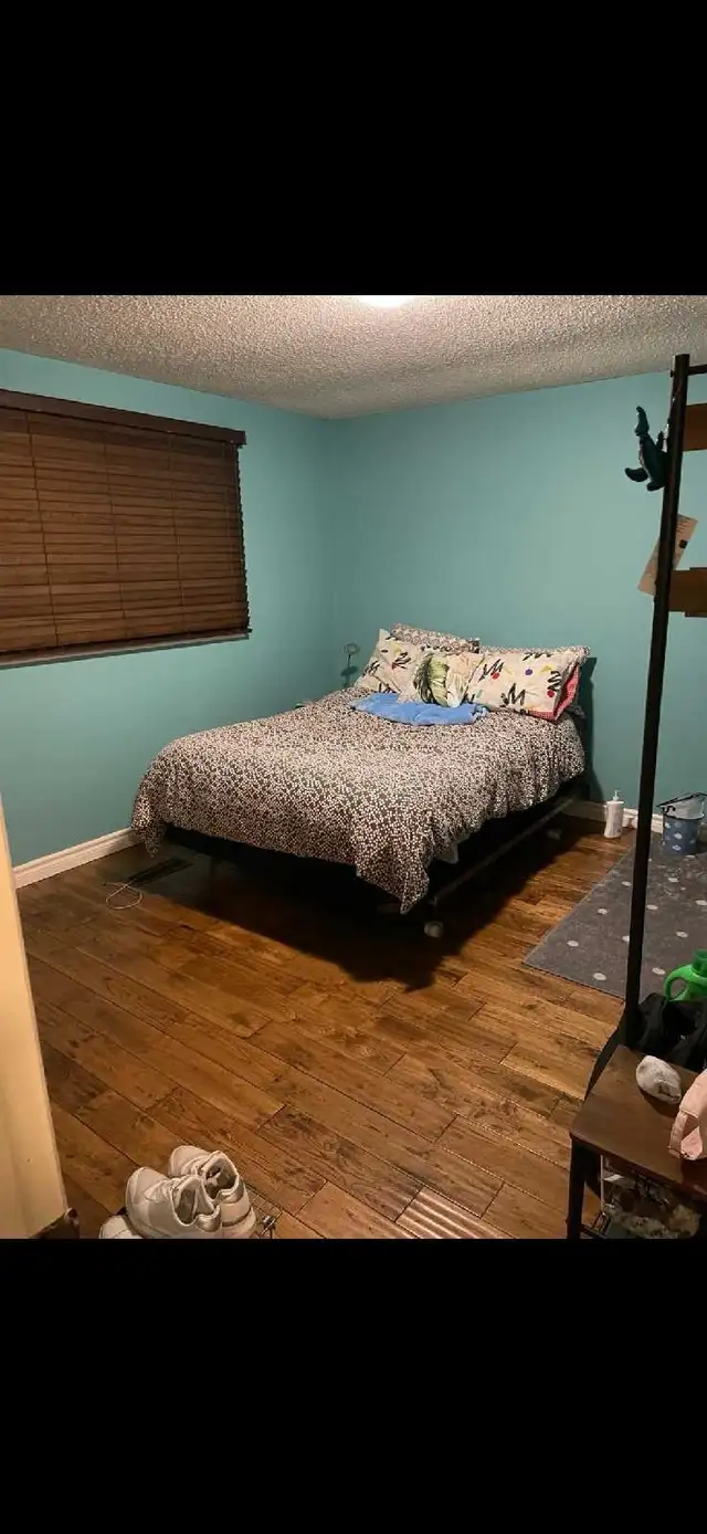 Female rooms for rent waterloo in Room Rentals & Roommates in Kitchener / Waterloo - Image 2