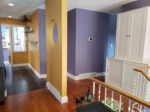 House Painter475022974948495369