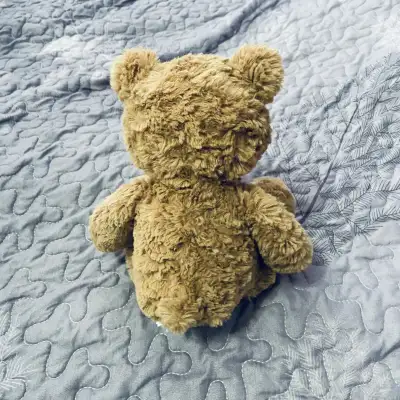 Jelly cat Bear this time hurry, View more