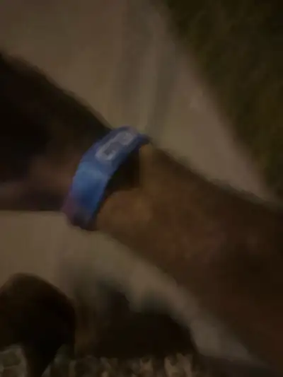 3 day GA wristband