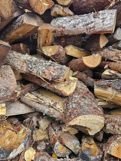 Green Birch and Seasoned Tamarack Firewood available. Cut and spilt. Birch 550. Tamarack 475.