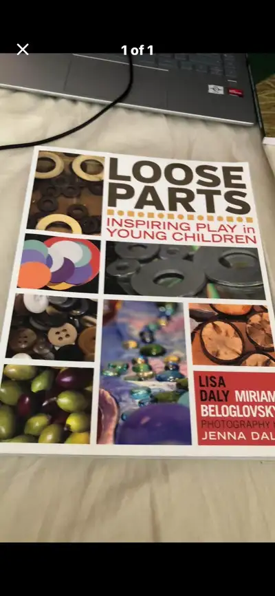 loose parts textbook ece, View more