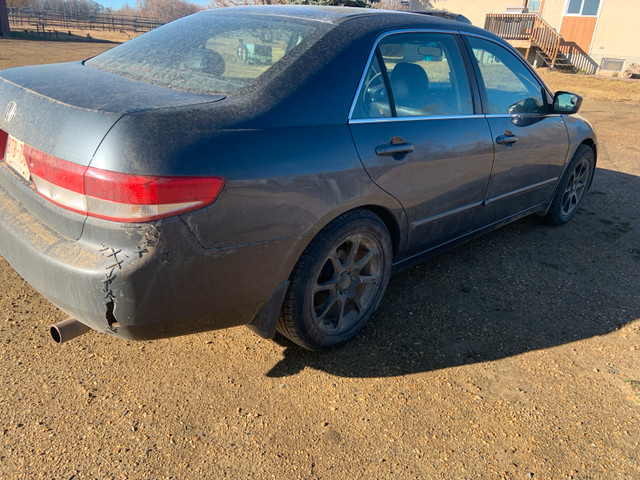 2004 Honda accord in Cars & Trucks in Edmonton - Image 4