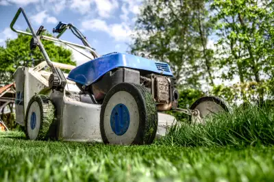Brampton Grass Cutting, View more