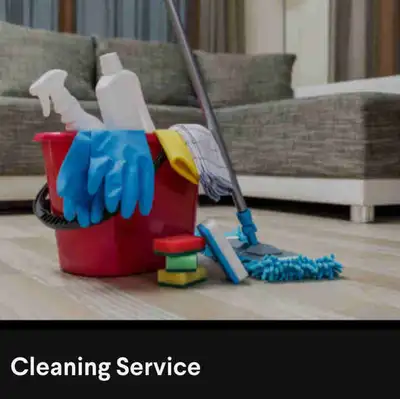 A Cleaning Lady, View more