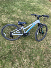 24 inch Nakamura bike 