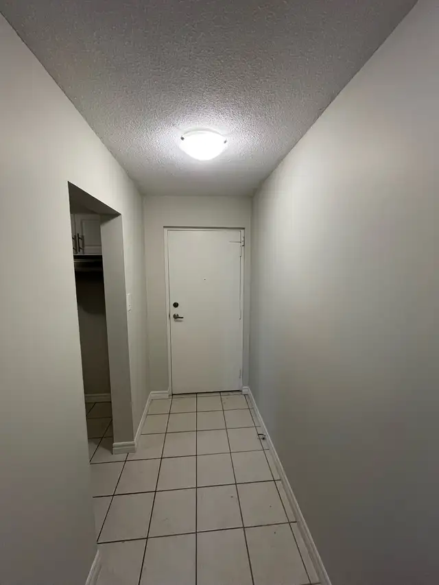 Professional Painter – Clean & Fast Work402405784646461443