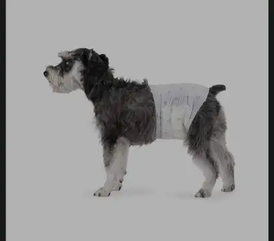 Amazon basic medium male dog diapers with ultra absorbent disposable wrap with secure fit Leakproof...