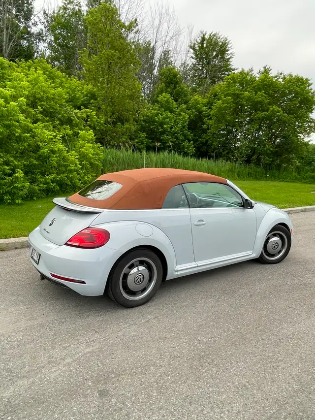 Beetle Convertible498589186529044481