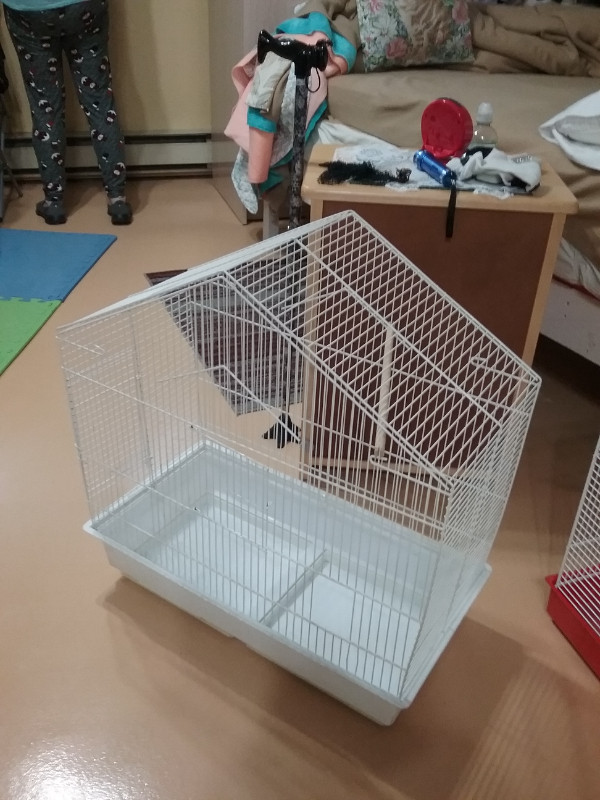 2 cages à oiseaux où petits animaux dans Accessoires  à Lac-Saint-Jean - Image 3