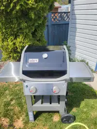 Weber BBQ