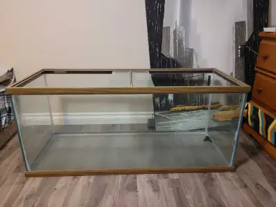 40 gallon aquarium , View more