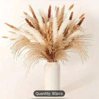 80 pieces pampas grass