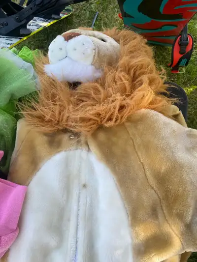 costume d’Halloween lion -4-5 ans , View more