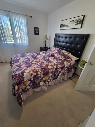 ISO:  Clean & quiet lady looking for a nice room to rent