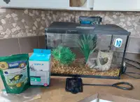 Complete fish tank set up