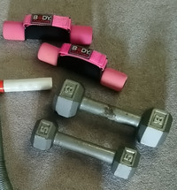 Gym Equipment (5 & 8 lbs. free weights and 1 lb. Hand Weights)