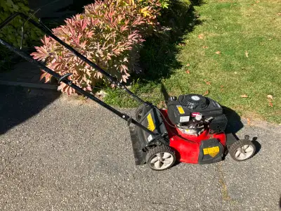 Gas lawn mower., View more