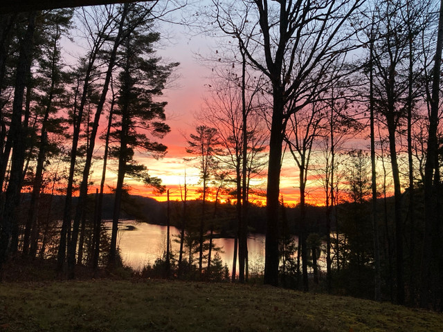 Summer in the Gatineau Hills in Room Rentals & Roommates in Gatineau