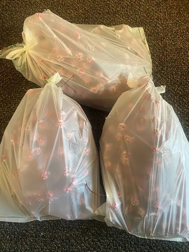 Frosted wired cranberries598239517134694402