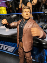 Vince McMahon Custom WWE Action Figure Mattel Elite BAF Head