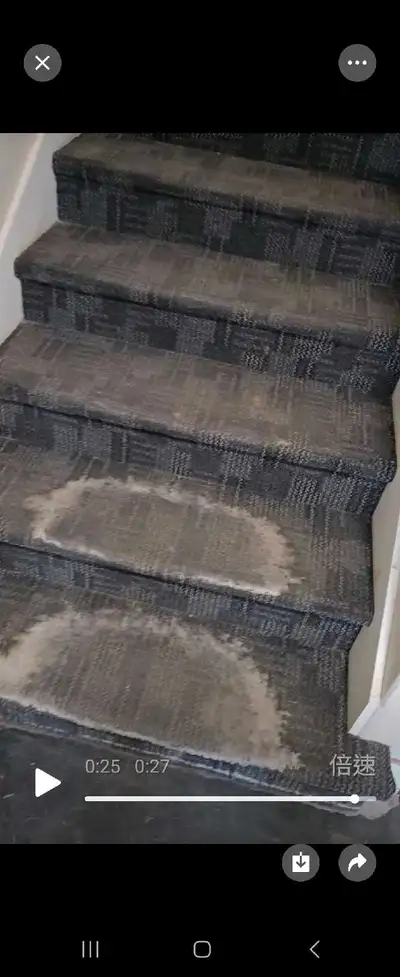 Looking for carpet shampoo cleaning, View more