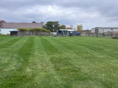 Spring cleanups / gutter cleaning / garden beds / tree trimming , View more