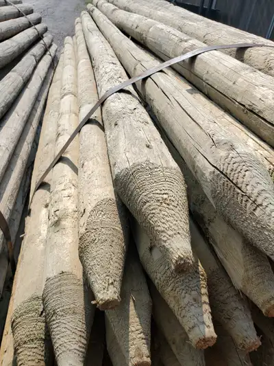 Pointed Posts 3" x 8ft Long Pressure Treated Round Posts $8 + tax Pickup at 4062 Canborough Road, We...