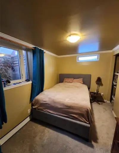 Spacious Basement to Rent